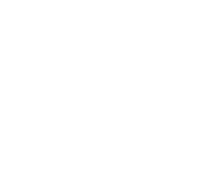 Funnel-IQ logo (white)