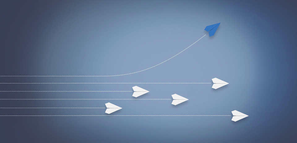 Portfolio value creation